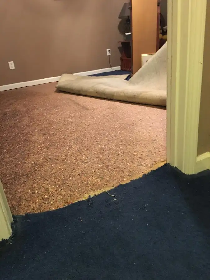 Carpet pad removal revealing water damage during Water Mitigation Services in Paulsboro