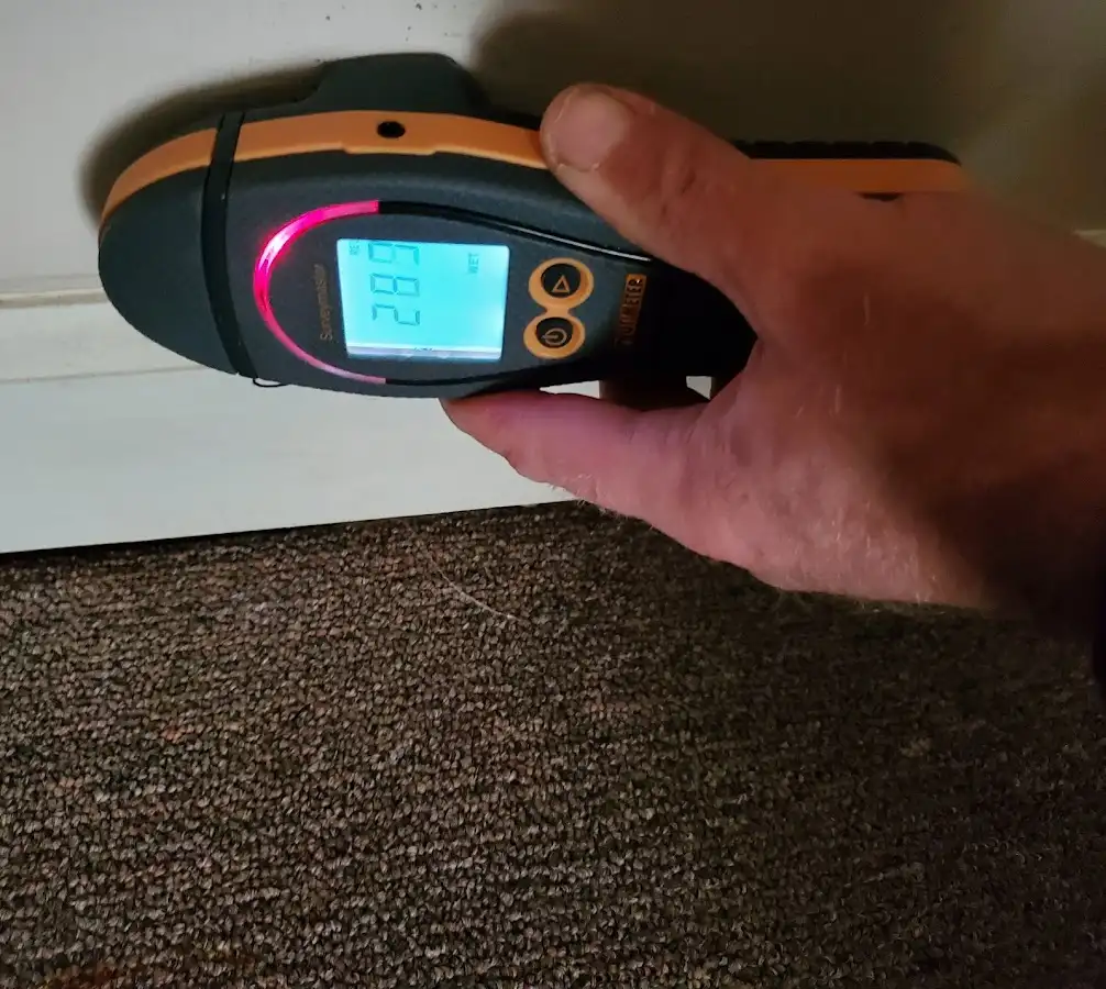 Moisture detection at baseboard during Sewage Cleanup & Sanitation in Paulsboro